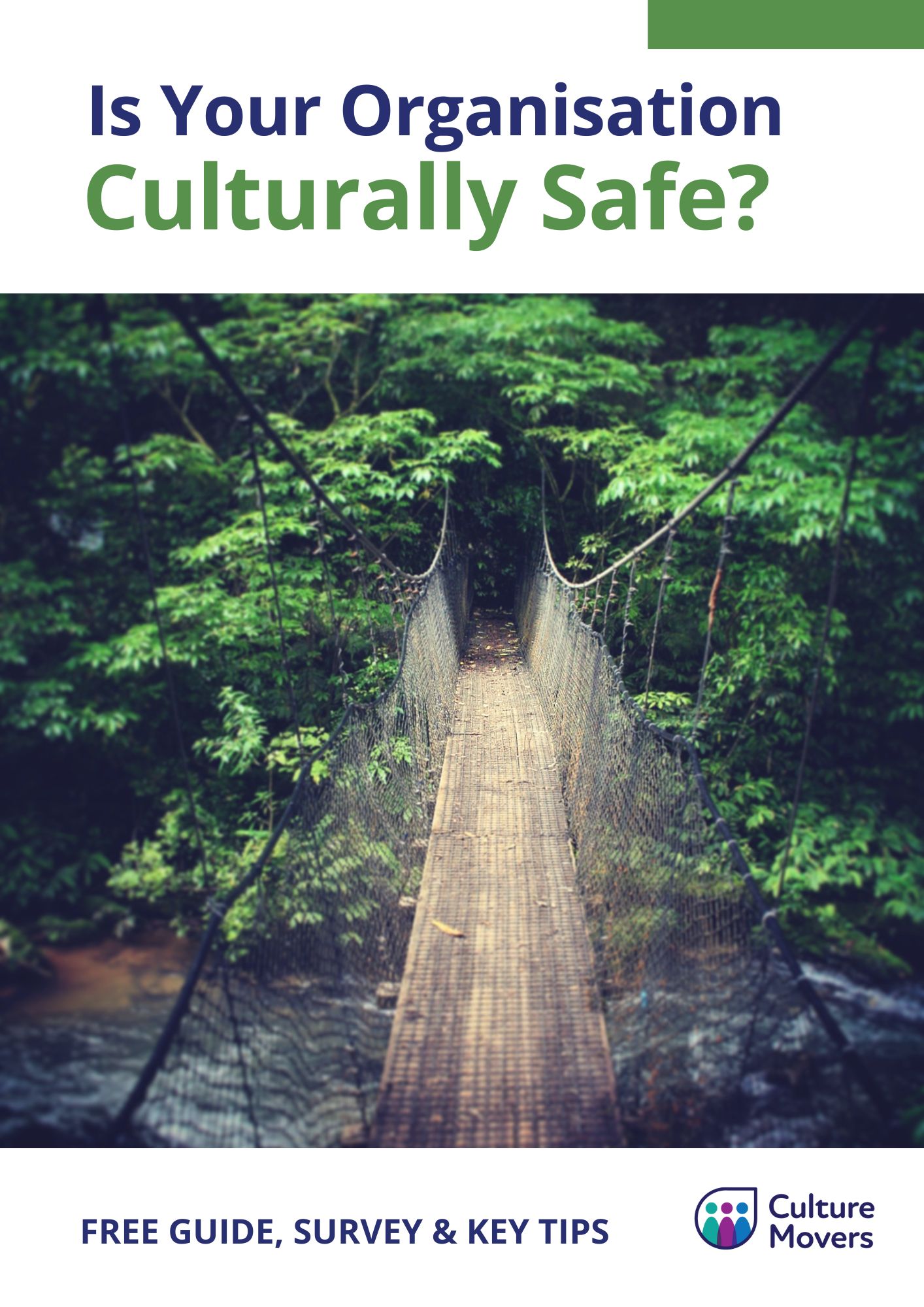 is-your-organisation-culturally-safe